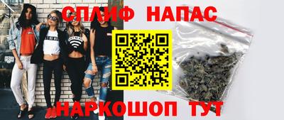прущие грибы Ставрополь