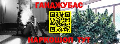 прущие грибы Ставрополь