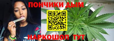 прущие грибы Ставрополь