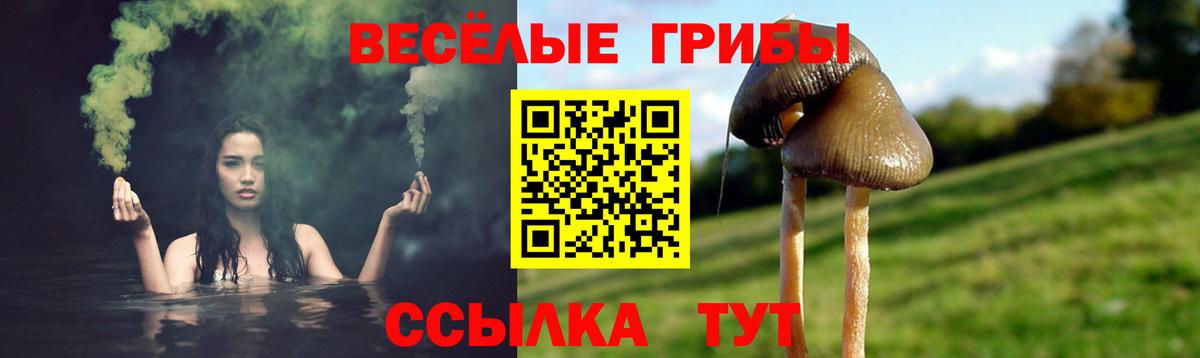 Псилоцибиновые грибы Magic Shrooms  Вход с VPN  Галлюциногенные грибы MAGIC MUSHROOMS  Новокубанск 